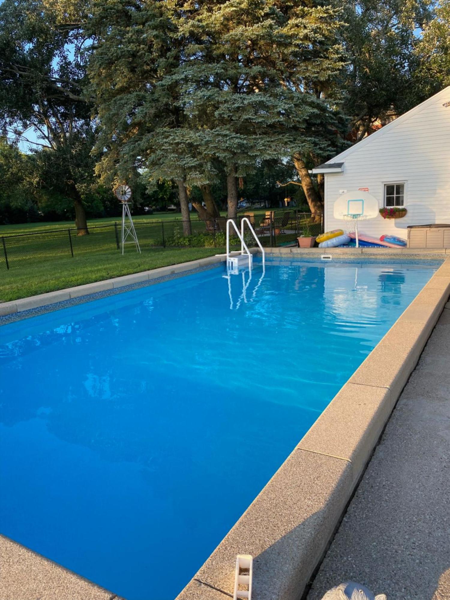 The Vine Bed & Breakfast, Llc Dundee Exterior photo