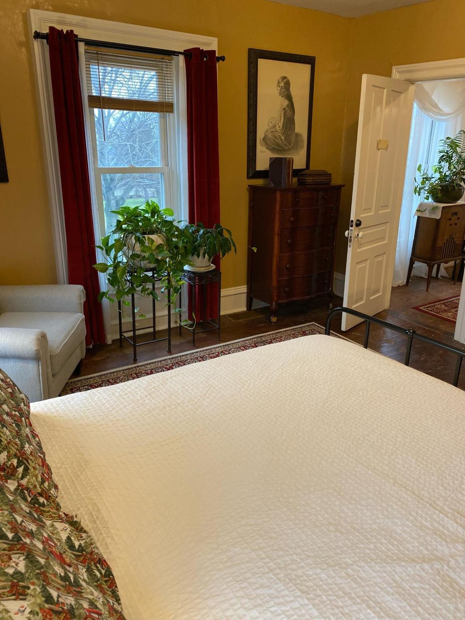 The Vine Bed & Breakfast, Llc Dundee Exterior photo